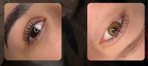 Korean Lash Lift The Natural Lash Evolution
